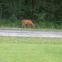 Randy Wolfe Photo 46