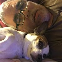 Michael Testa Photo 22