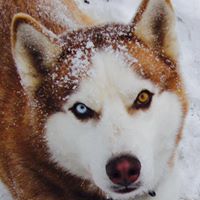 Nancy Wamsley Photo 7