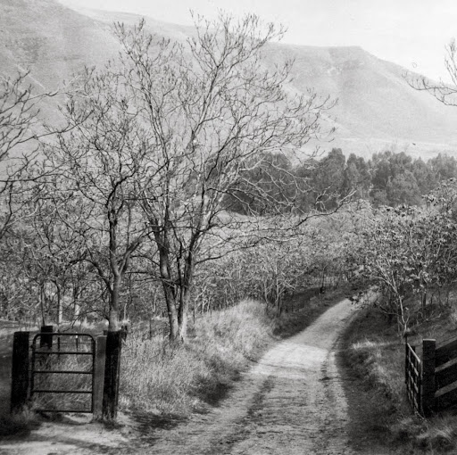 Frederick Noble Photo 21