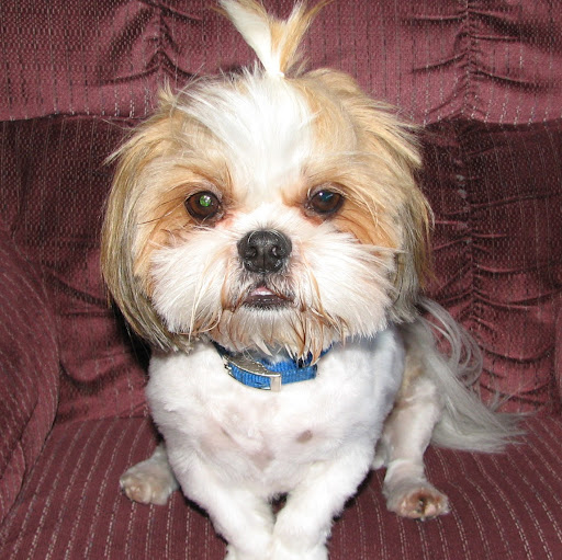 Linda Summers Photo 44