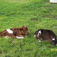 Gail Rodgers Photo 14