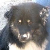 Richard Pugh Photo 14