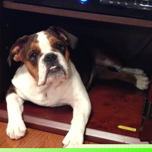 Amy Buckner Photo 21