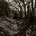 Sara Hedges Photo 19