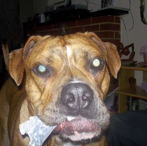 Sharon Floyd Photo 5
