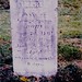 Mary Neely Photo 28