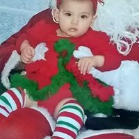 Dolores Cook Photo 26