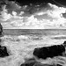 Dawn Bray Photo 10