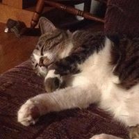 Susan Crowe Photo 22