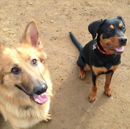 Heidi Moore Photo 20