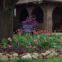 Robin Pyrcik Photo 3