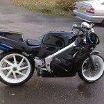 Phillip Lang Photo 16