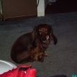 Kristie Brooks Photo 20