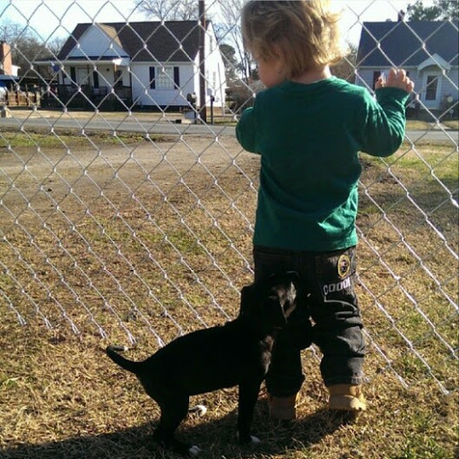 Molly Mitchell Photo 33