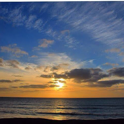 Stephen Rowland Photo 28