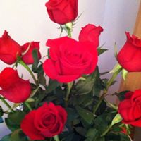 Lizabeth Hatch Photo 1