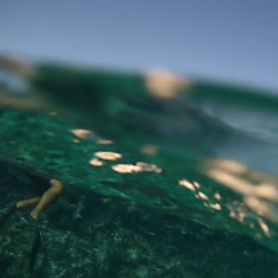 Sam Whitaker Photo 18