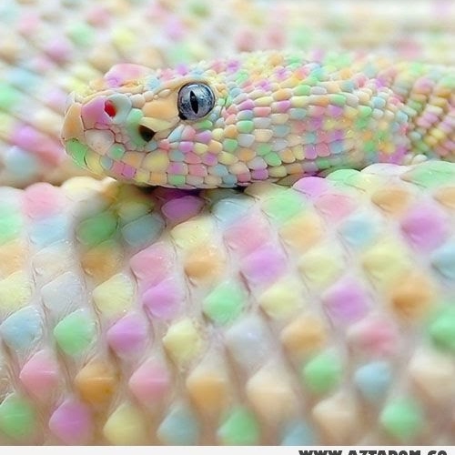 Martin Simon Photo 22