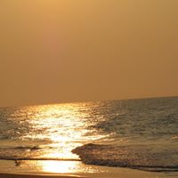 Kathy Bittner Photo 19