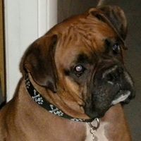 Jimmy Waggoner Photo 3