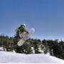Shawna Willis Photo 8