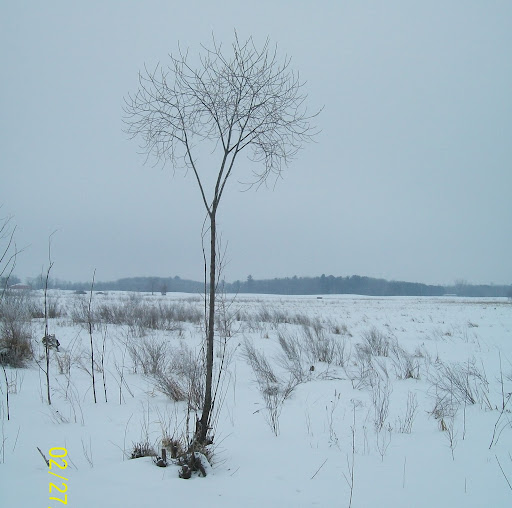 Amy Abramson Photo 3