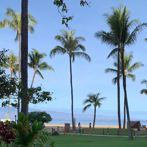 Linda Lazarus Photo 19