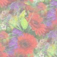 Kathleen Sparks Photo 23