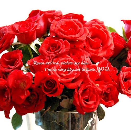 Marie Tucker Photo 22