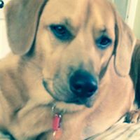 Karen Norton Photo 25