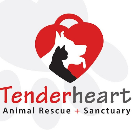 Renee Jacobsen Photo 10