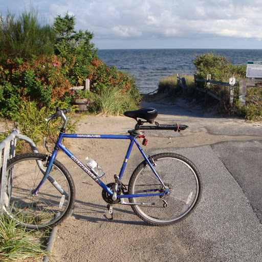 David Wygant Photo 10