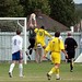 Shane Potter Photo 11