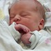 Zachary Daniel Photo 21