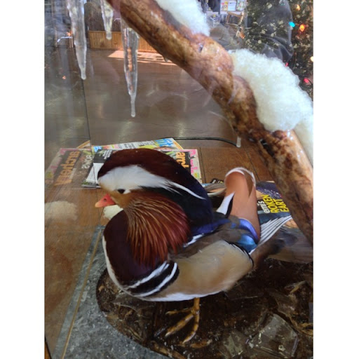 Cameron Reynolds Photo 20