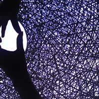 Hsin Chen Photo 34 Hsin Chen Photo 34