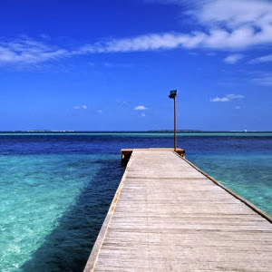 Shannon Thayer Photo 22