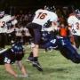 Harvey Webster Photo 9