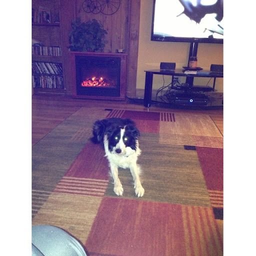 Carey Moore Photo 26