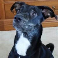 Daniel Fitch Photo 22