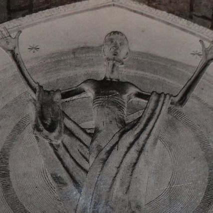 Tim O'Connell Photo 16