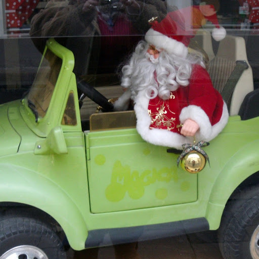 Lynn Hammond Photo 19