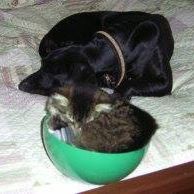 Nicholas Martin Photo 9