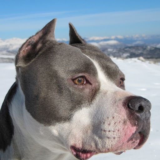 Mary Connors Photo 25