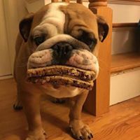 Patrick Hallinan Photo 29 Patrick Hallinan Photo 29