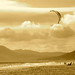 Lance Kite Photo 7