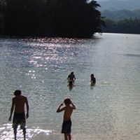 Lisa Freedman Photo 24