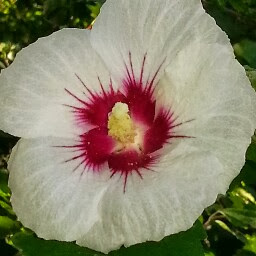 Julie Malcolm Photo 33