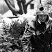 Martin Marshall Photo 23